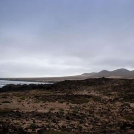 Casa Caleta Caballo Caleta de Caballo Dış mekan fotoğraf