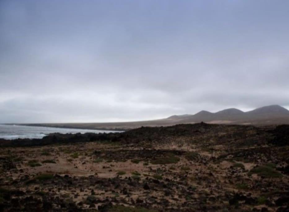 Casa Caleta Caballo Caleta de Caballo Dış mekan fotoğraf